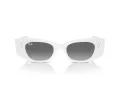 Ray-Ban Kat Sonnenbrille RB 4427 675911