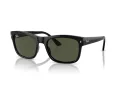 Ray-Ban Sonnenbrille RB 0RB4428 601/31