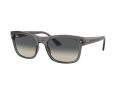 Ray-Ban Sonnenbrille RB 0RB4428 667571