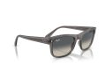Ray-Ban Sonnenbrille RB 0RB4428 667571