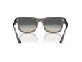 Ray-Ban Sonnenbrille RB 0RB4428 667571