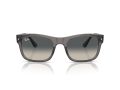 Ray-Ban Sonnenbrille RB 0RB4428 667571