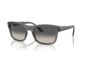 Ray-Ban Sonnenbrille RB 0RB4428 667571