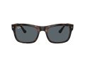 Ray-Ban Sonnenbrille RB 0RB4428 710/R5