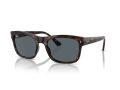 Ray-Ban Sonnenbrille RB 0RB4428 710/R5