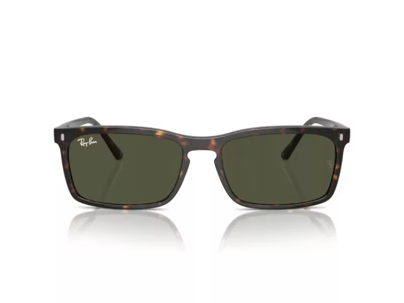 Ray-Ban Sonnenbrille RB 4435 902/31