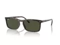 Ray-Ban Sonnenbrille RB 4435 902/31