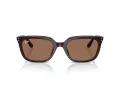 Ray-Ban Sonnenbrille RB 4439D 623173