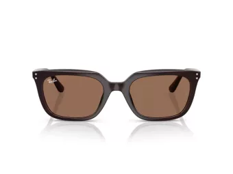 Ray-Ban Sonnenbrille RB 4439D 623173