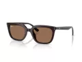 Ray-Ban Sonnenbrille RB 4439D 623173