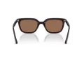 Ray-Ban Sonnenbrille RB 4439D 623173