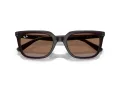 Ray-Ban Sonnenbrille RB 4439D 623173