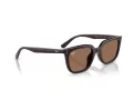 Ray-Ban Sonnenbrille RB 4439D 623173
