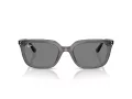 Ray-Ban Sonnenbrille RB 4439D 667587