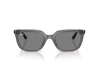 Ray-Ban Sonnenbrille RB 4439D 667587