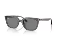 Ray-Ban Sonnenbrille RB 4439D 667587