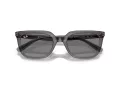Ray-Ban Sonnenbrille RB 4439D 667587