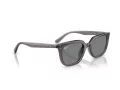 Ray-Ban Sonnenbrille RB 4439D 667587