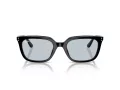 Ray-Ban Sonnenbrille RB 4439D 901/72