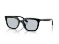 Ray-Ban Sonnenbrille RB 4439D 901/72