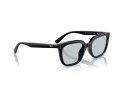 Ray-Ban Sonnenbrille RB 4439D 901/72
