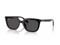 Ray-Ban Sonnenbrille RB 4439D 901/87