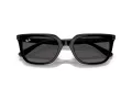 Ray-Ban Sonnenbrille RB 4439D 901/87