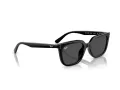 Ray-Ban Sonnenbrille RB 4439D 901/87