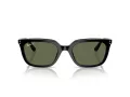 Ray-Ban Sonnenbrille RB 4439D 901/9A