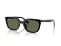 Ray-Ban Sonnenbrille RB 4439D 901/9A