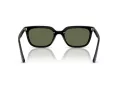 Ray-Ban Sonnenbrille RB 4439D 901/9A