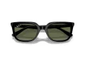 Ray-Ban Sonnenbrille RB 4439D 901/9A