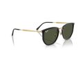 Ray-Ban Sonnenbrille RB 4451 630631
