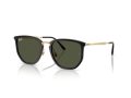 Ray-Ban Sonnenbrille RB 4451 630631