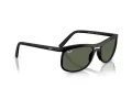 Ray-Ban Sonnenbrille RB 4452 601S71
