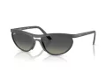 Ray-Ban Sonnenbrille RB 4453 601711