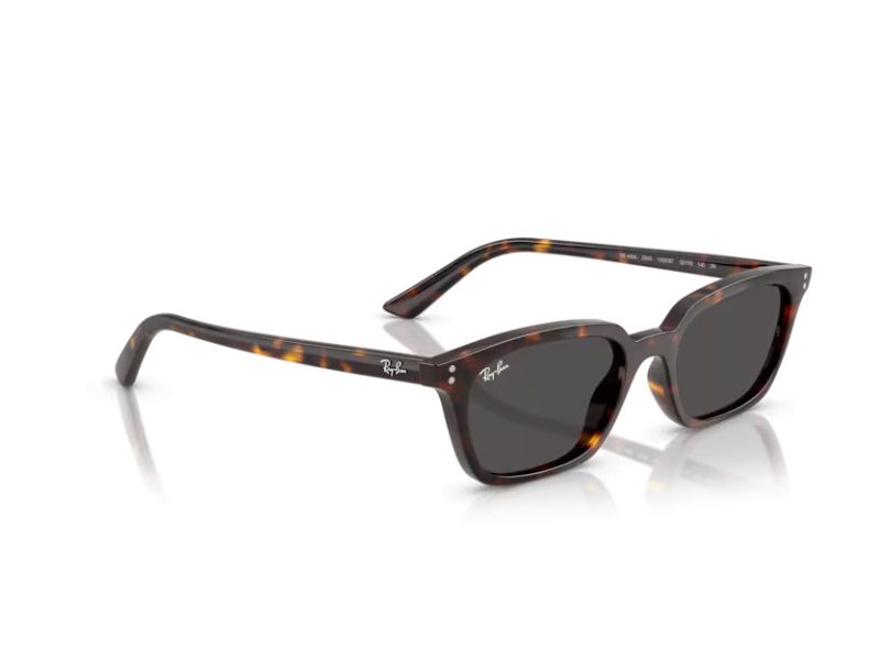 Ray-Ban Zaya Sonnenbrille RB 4456 135987