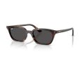 Ray-Ban Zaya Sonnenbrille RB 4456 135987