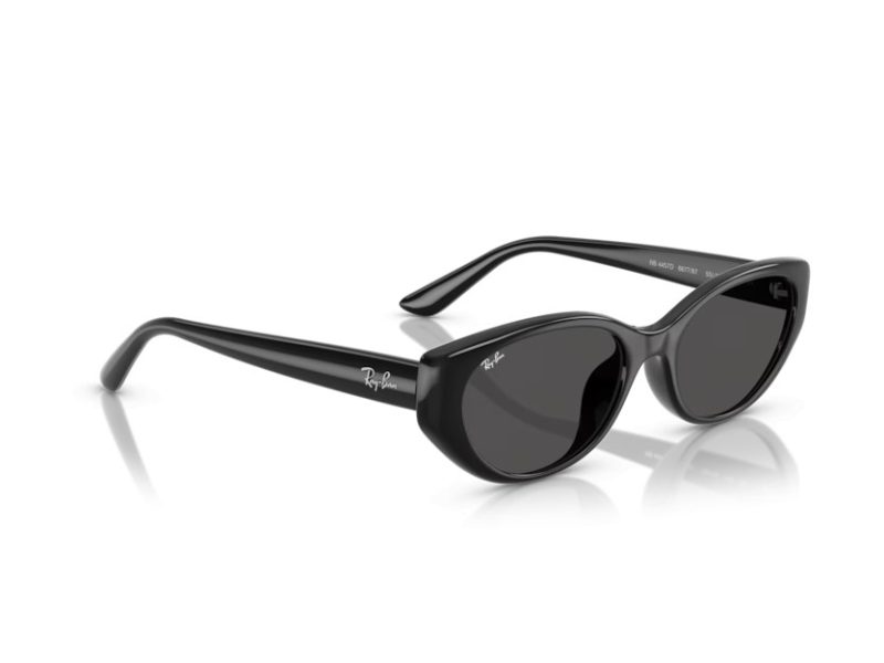 Ray-Ban Sonnenbrille RB 4457D 667787