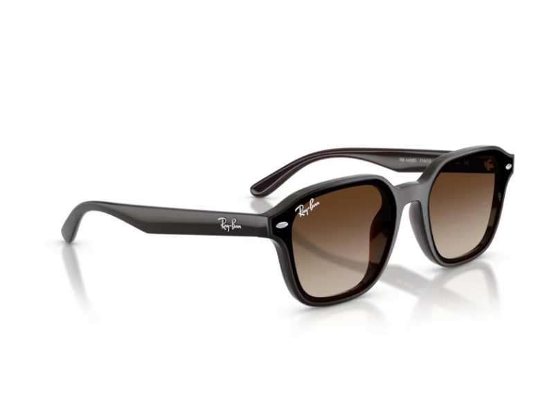 Ray-Ban Sonnenbrille RB 4458D 714/13