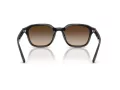 Ray-Ban Sonnenbrille RB 4458D 714/13
