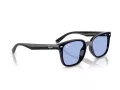 Ray-Ban Sonnenbrille RB 4461D 601/80