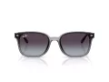 Ray-Ban Sonnenbrille RB 4461D 64508G