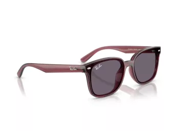 Ray-Ban Sonnenbrille RB 4461D 659373