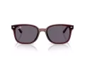 Ray-Ban Sonnenbrille RB 4461D 659373