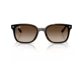 Ray-Ban Sonnenbrille RB 4461D 710/13