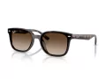Ray-Ban Sonnenbrille RB 4461D 710/13