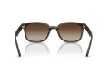 Ray-Ban Sonnenbrille RB 4461D 710/13