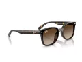 Ray-Ban Sonnenbrille RB 4461D 710/13