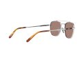 Ray-Ban Frank Ii Titanium Sonnenbrille RB 8258 3139/O4